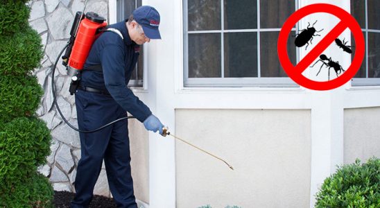 Doğanyurt Karınca İlaçlama böcek ilaçlama ve haşere kontrolü — ilaclama-tr.com